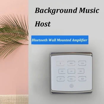 Bluetooth מגבר אודיו קיר רכוב מגבר כוח מיני Amplificador עם USB/TF/AUX/ תמיכה מ-2 ל-4 רמקולים