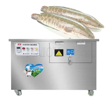 XT-ZXY01 סוג אוטומטי להסיר דגים בקנה מידה מכונה/חשמלי גירוד דגים בקנה מידה היוצר/מסחרי נירוסטה דגים בקנה מידה גרוטאות