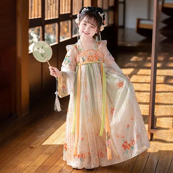 סיני חדש Hanfu שמלת קיץ בנות לחקות טאנג השיר שושלות הלבוש העתיק של ילדים שמלה רקומה