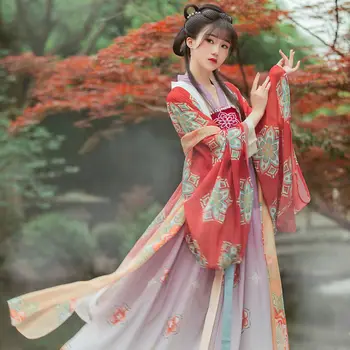 סינית מסורתית Hanfu חליפה מעולה הדפס פרחים רקמה נשים שמלת להגדיר שושלת טאנג שמלת נסיכה פולק בגדי ריקוד